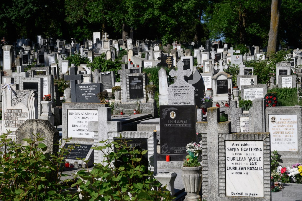 A peaceful cemetery scene featuring numerous gravestones and crosses, surrounded by greenery and flowers.