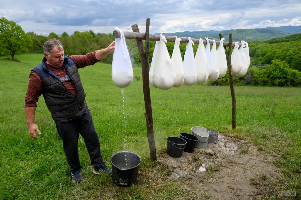 A man stands in a grassy field, pouring liquid from a bag into a bucket. Several bags hang from a wooden frame behind him, while different type of buckets are placed on the ground.