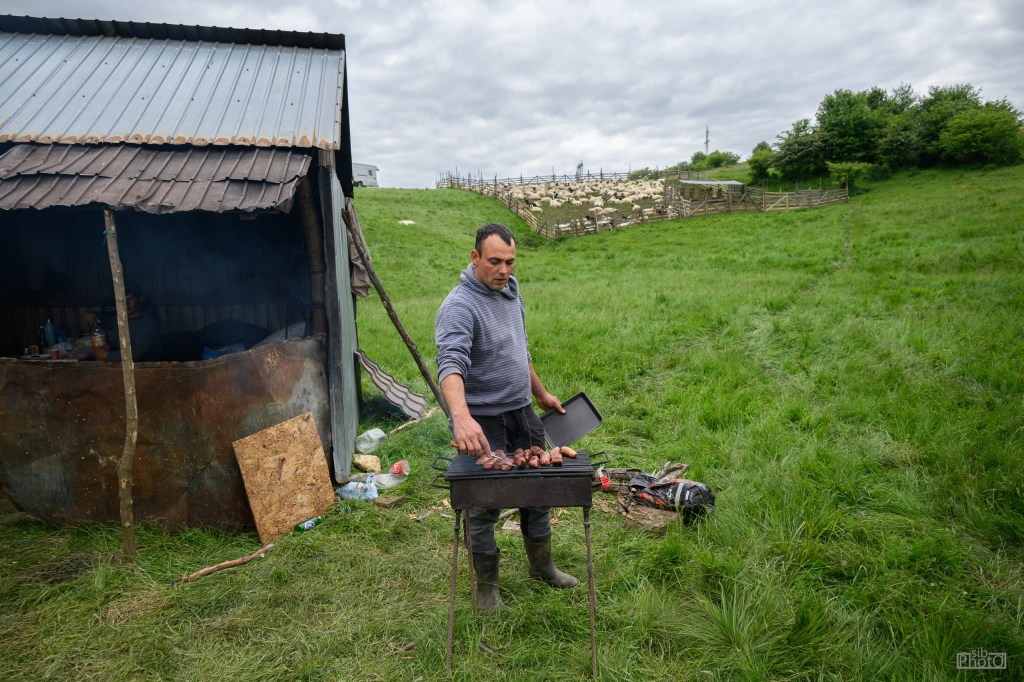 A man grilling food outdoors near a rustic shed, with sheep grazing in the background.