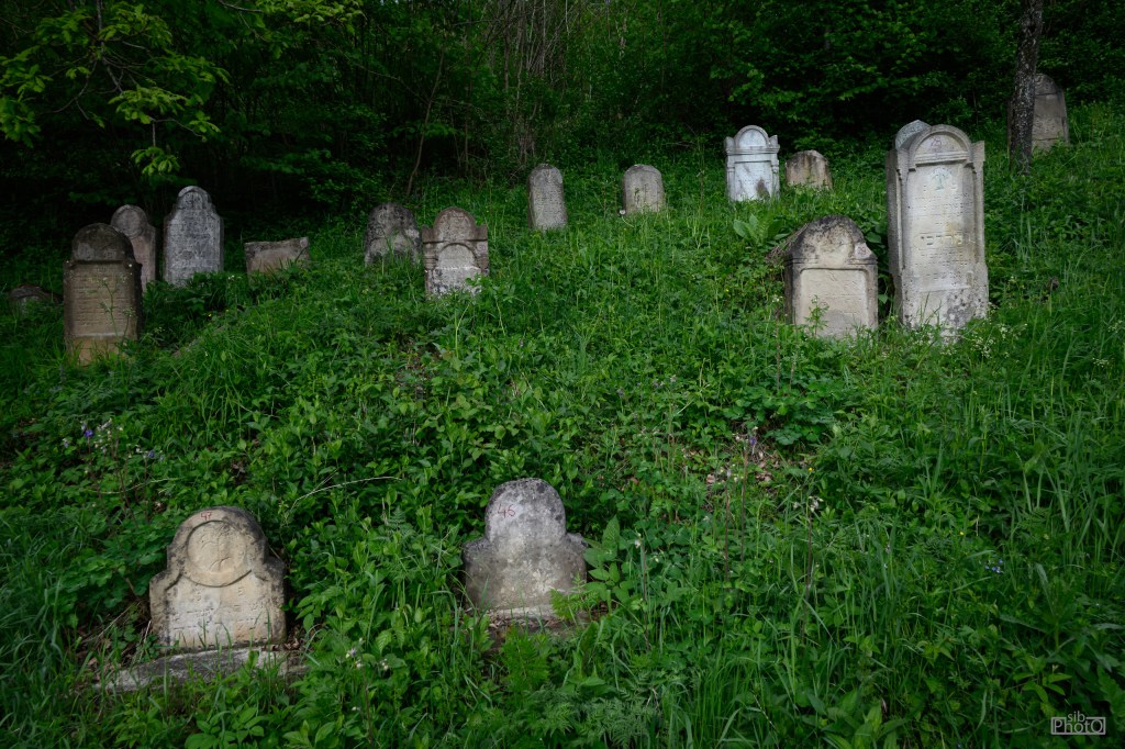 A partially overgrown cemetery with various gravestones amidst tall grass and greenery.