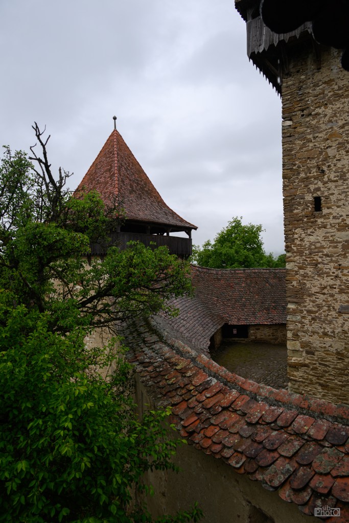 View of a stone castle with a conical roof tower surrounded by trees and a winding tiled roof.