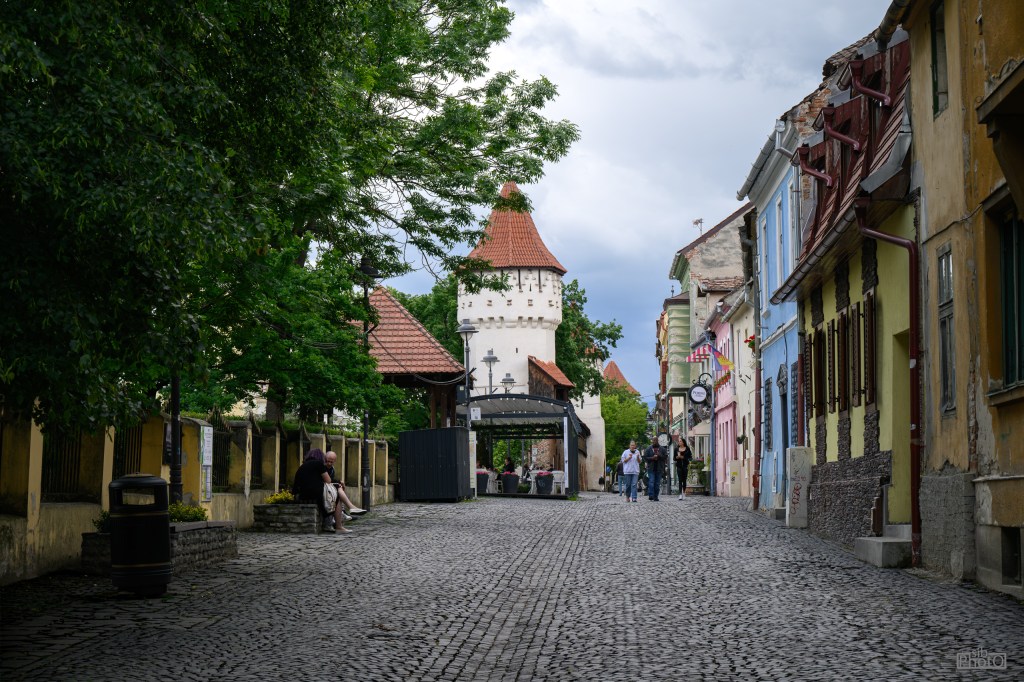 A cobblestone street lined with colorful buildings and trees, featuring a tower in the background, with people walking and sitting along the path.