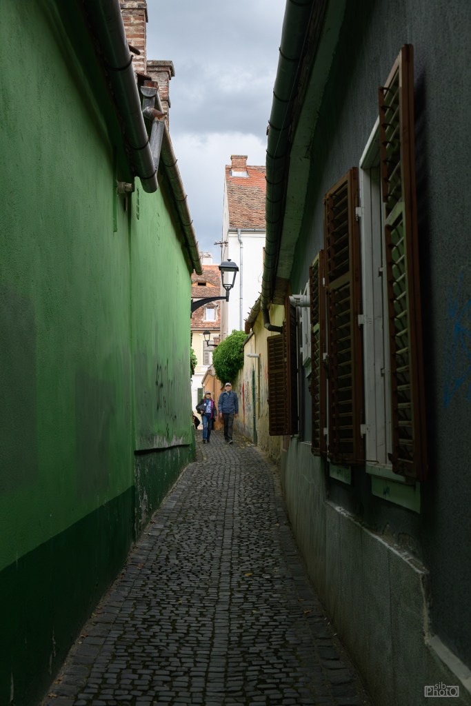 Narrow cobblestone alleyway between green and grey buildings with wooden shutters, featuring two people walking in the distance under a cloudy sky.